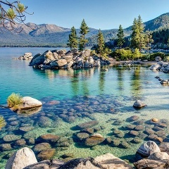 Luisa Ann, Los Angeles