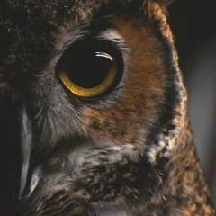 Анастасия Горбунова, 16.01, Санкт-Петербург