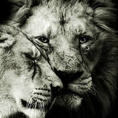 Влад Лазарев, 06.06.1993, Кишинев