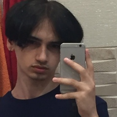 Dima Pogorelov