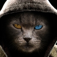 Hlamyo Hlamyo, 27.12.1988