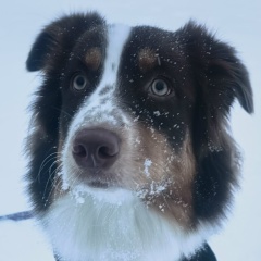 Надежда Афанасьева, 27.10.1988, Москва