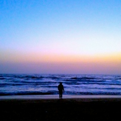 Амир __, Москва