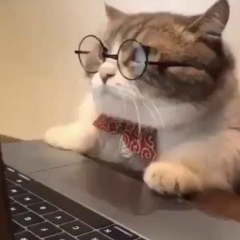 Ольга Лепихина, Santiago