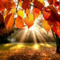 Саня Ефимов, 10.08.1993, Санкт-Петербург