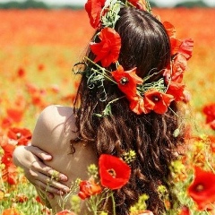 Елена Пилипчук, 27.11, Киев