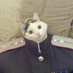 Михаил Ахрамович, 03.03.1987, Одесса