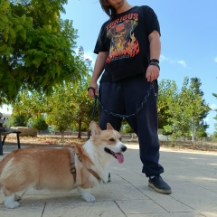 Даниил Богданов, 03.06.1990, Санкт-Петербург