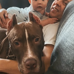 Сергей Петухов, 30.05.1984, Северодвинск