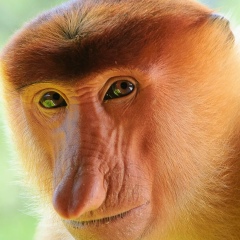 Дмитрий Зубков, 04.11, Москва