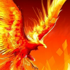 Илья Морозов