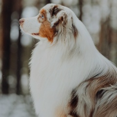 Анастасия Захарикова, 16.01.1990, Ярославль