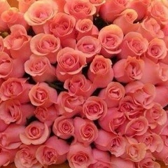 Света Романчук, 18.08.1984, Николаев