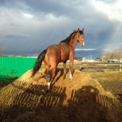 Рамис Гайнуллин, Казань