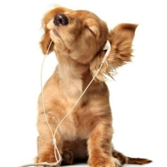 Ваня Краснов, 25.06.1986