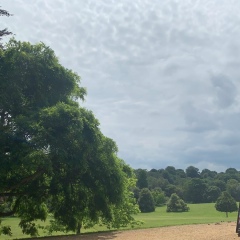 Лиза Ролли, 06.12.1994, Молодечно