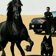 Erik Utepbaev, 07.07, Тараз