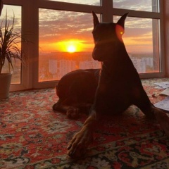 Аля Розгай, 18.06.2008