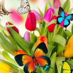 Инна Карабута, 17.05, Вознесенск