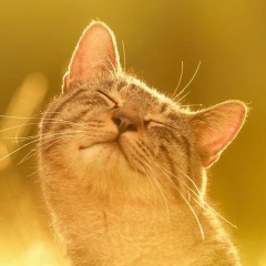 Александр Котенев, 02.03.1989, Екатеринбург