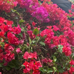 Алтын Султангазина, 27.02, Астана