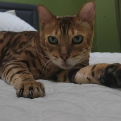 Наталья Д, Новороссийск