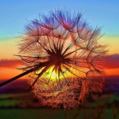 Гузалия Зайнуллина, Уфа