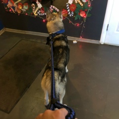 Аян Кизат, 23.11