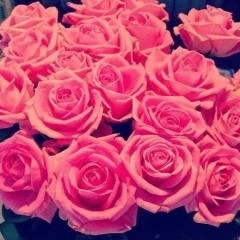 Gulia Sultanmuratova, 06.06.1974