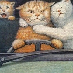 Ната Царева, 11.11.1981