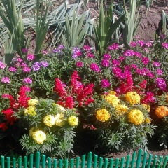 Елена Паутова, 08.01.1974