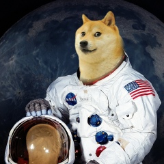 Вячеслав Околитый, 06.05.1988, Днепр (Днепропетровск)