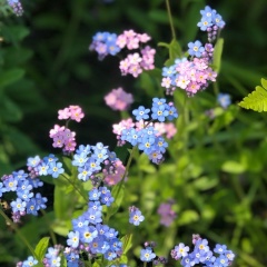Ольга Вакуленко, 16.04