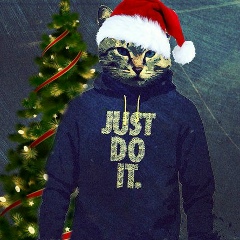 Влад Мельник, 04.11, Лановцы