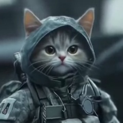 Александр Елатомцев, Тамбов