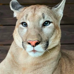 Гала Васильева, 08.03, Санкт-Петербург