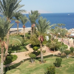 Елена Бытова, 05.04, Тюмень