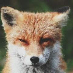 Анна Дашко, 20.03, Краснодар