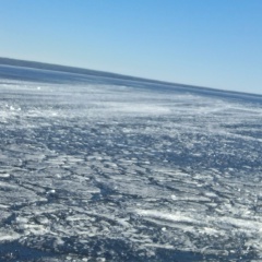 Надя Каширцева, 30.06, Санкт-Петербург