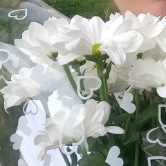 Оля Катруша, 23.02, Торез