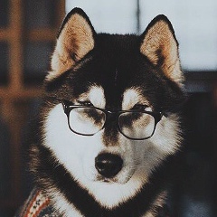 Saken Utepov, 01.05.1999, Темиртау