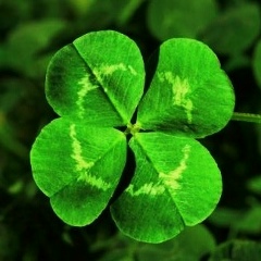 Natalia Gauk, 19.10, Архангельск