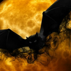 Сергей Ирбисов, 23.02