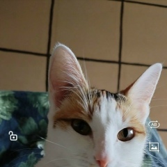 Галина Ставская, 22.05