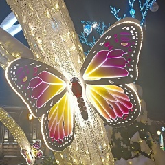 Мария Блюмина, 05.09, Санкт-Петербург