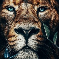 Darvesh Fira, 23.07.1988