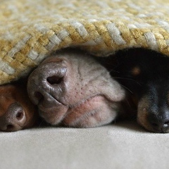 Кристина Комарова, 24.07, Москва