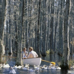 Залим Бжамбеев, Нальчик