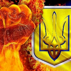 Олексій Назарішин, 21.01.1985, Запорожье