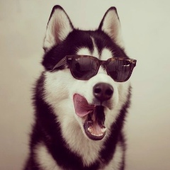 Baha Abdrakhmanov, 27.06, Алматы